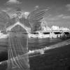 ANGEL AT LOS ANGELES RIVER
PHOTO MONTAGE
2015