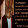 RABBIT HUNTING
3D ANAGLYPH

PRINT:
H24" X W36"
ARCHIVAL METALLIC PHOTOGRAPHIC PRINT