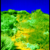 FRANKLIN CANYON FIRE TRAIL STAIRS AND FENCE

DIGITALLY PAINTED INFRARED
H24"Xw36"

2010