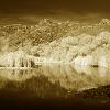 MALIBU CANYON LAKE TONED
INFRARED SEPIA TONED
H2FTXW3FT

2010