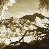 MALIBU CANYON FALLEN TREE
INFRARED SEPIA TONED
H2FTXW3FT

2010