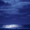 PALOS VERDES BEACH - MIDNIGHT SWIM
PHOTO MONTAGE

H18" X W24"

2015