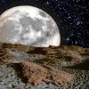 VENTURA NIGHT FULL MOON
PHOTO MONTAGE

H18" X W24"

2015