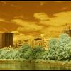 NYC JACQUELINE KENNEDY CENTRAL PARK RESERVOIR

COLOR INFRARED