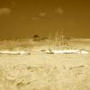 VENTURA BEACH #4

SEPIA TONED INFRARED

H24" X W36"
2010