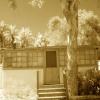 SURFER BEACH MOTEL

SEPIA TONED IINFRARED

H24"X W36"
2010
