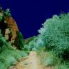 NARROW PATH TO TOPANGA CANYON EAGLE ROCK

DIGITALLY PAINTED INFRARED

H24" X W36"
2010